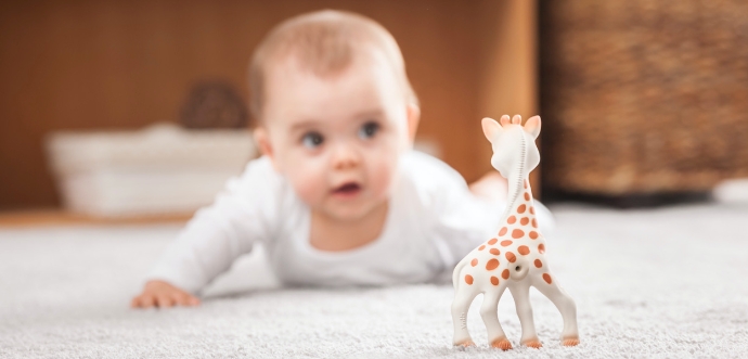 Sophie La Girafe (girafa Sophie) - Mordedor Importado Original | Item  Infantil Sophie La Girafe Usado 91350893 | enjoei